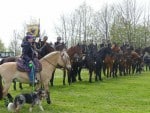 11. Huppenbroicher Pferdesegnung