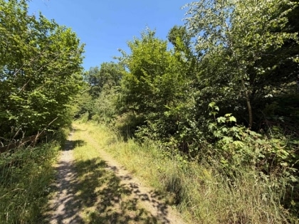 2 sonnige Baugrundst�cke (insgesamt 2070 m�) in exponierter S�dhang-Waldrandlage direkt am Rursee