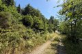 2 sonnige Baugrundst�cke (insgesamt 2070 m�) in exponierter S�dhang-Waldrandlage direkt am Rursee
