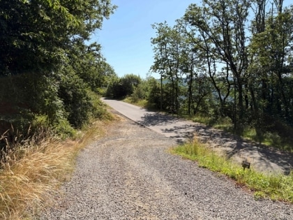 2 sonnige Baugrundst�cke (insgesamt 2070 m�) in exponierter S�dhang-Waldrandlage direkt am Rursee
