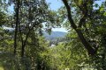 2 sonnige Baugrundst�cke (insgesamt 2070 m�) in exponierter S�dhang-Waldrandlage direkt am Rursee
