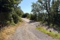 2 sonnige Baugrundst�cke (insgesamt 2070 m�) in exponierter S�dhang-Waldrandlage direkt am Rursee