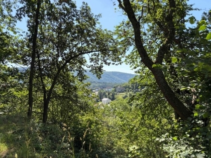 2 sonnige Baugrundst�cke (insgesamt 2070 m�) in exponierter S�dhang-Waldrandlage direkt am Rursee