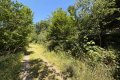 2 sonnige Baugrundst�cke (insgesamt 2070 m�) in exponierter S�dhang-Waldrandlage direkt am Rursee