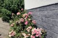 Attraktiver Einstiegspreis in Gladbach: Freistehendes Eigenheim mit gro�em Grundst�ck und vielseitigen Perspektiven