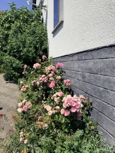 Attraktiver Einstiegspreis in Gladbach: Freistehendes Eigenheim mit gro�em Grundst�ck und vielseitigen Perspektiven