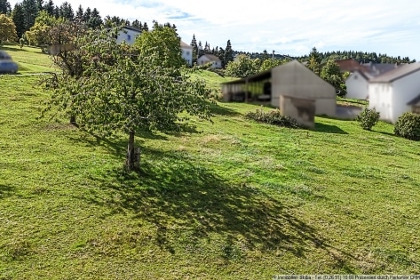 Ausblick in die Eifel-Wlder: Baugrundstck in Wimbach bei Adenau