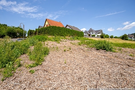 Baugrundstck mit Ausblick ins Grne oberhalb von Adenau