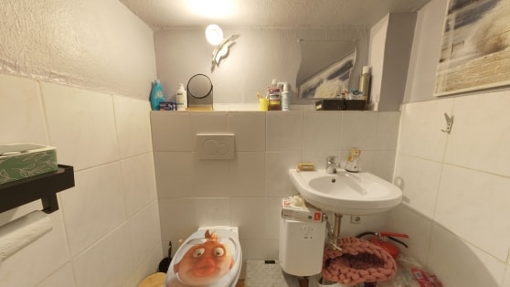 Charmantes, freistehendes Einfamilienhaus mit Einliegerwohnung und Wintergarten - vielseitig nutzbar in ruhiger Lage