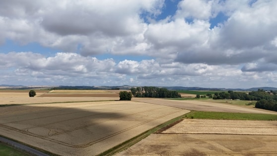 Der Traum vom Haus im Grnen! Baugrundstck in Lehmen-Moselsrsch!