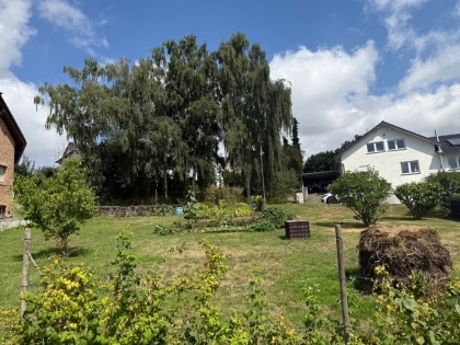 Der Traum vom Haus im Grnen! Baugrundstck in Lehmen-Moselsrsch!