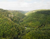 *** Ein besonderes Schmuckst�ck mit vielseitigen Nutzungsm�glichkeiten in Traumlage! ***