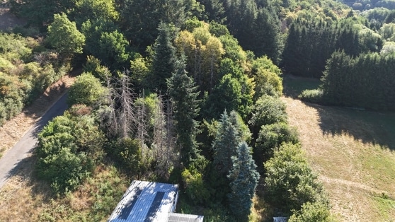 Einfamilienwohnhaus in toller Aussichtslage mit einem Gesamtgrundst�ck von rd. 2.888 m�