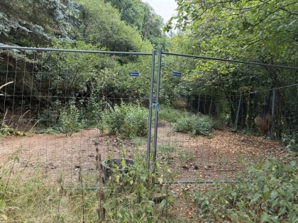 Einfamilienwohnhaus in toller Aussichtslage mit einem Gesamtgrundst�ck von rd. 2.888 m�