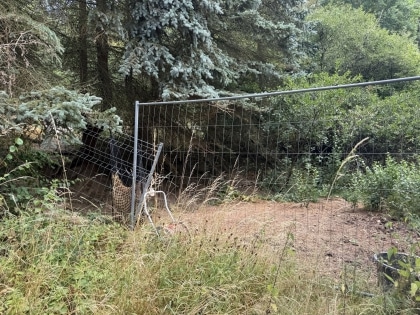Einfamilienwohnhaus in toller Aussichtslage mit einem Gesamtgrundst�ck von rd. 2.888 m�