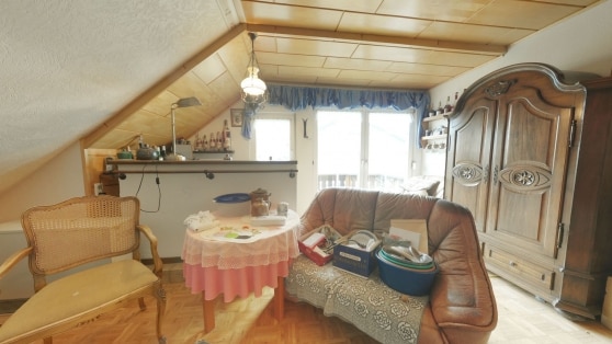 Einfamilienwohnhaus mit Einliegerwohnung und kleinem Apartment im 2. UG in Randlage der Gemeinde Mendig