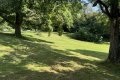 Exklusive Eigentumswohnung in der Villa Hohenwald mit separatem Appartement