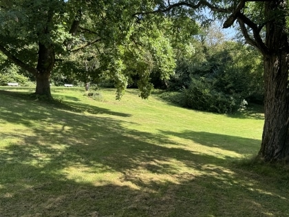 Exklusive Eigentumswohnung in der Villa Hohenwald mit separatem Appartement