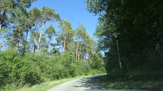 Ferienhaus in Wald-Hhenlage