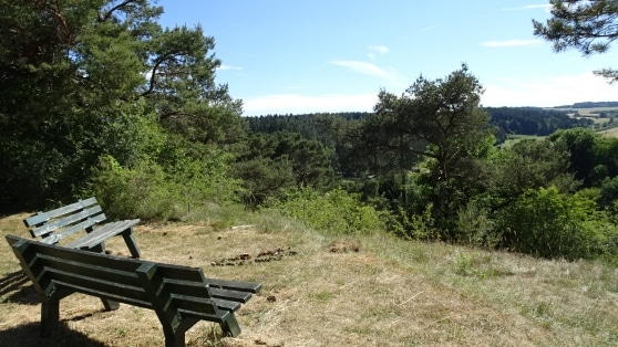 Ferienhaus in Wald-Hhenlage