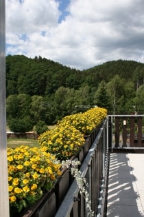 *** Ferienwohnung Hockelmann in der Vulkaneifel