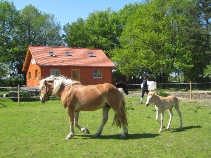 Ferienwohnung Ravelblick