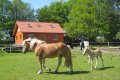 Ferienwohnung Ravelblick