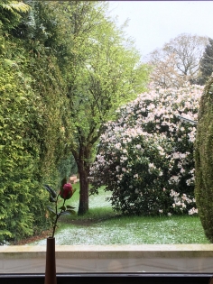 Ferienwohnung Schleebach