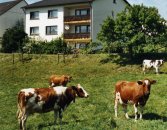 Ferienwohnung Sonnenblume  auf dem Schmiedshof