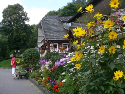 Ferienwohnung in Hürtgenwald-Vossenack