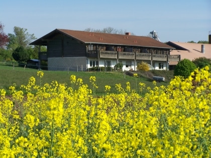 Ferienwohnungen Brauers Landarthotel