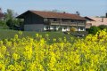 Ferienwohnungen Brauers Landarthotel