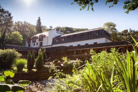 Ferienwohnungen Brauers Landarthotel