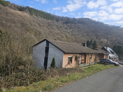 Freistehendes Zweifamilienhaus und Garage in ruhiger Lage