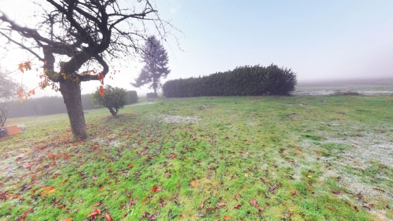 Gepflegtes Einfamilienwohnhaus mit Einliegerwohnung in Randlage