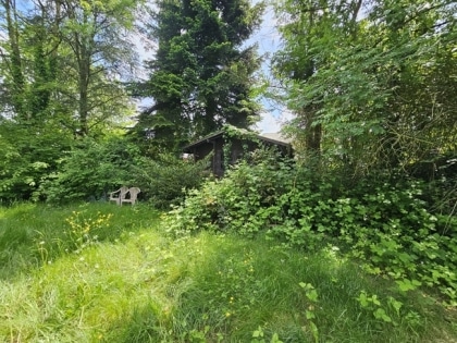 Gerumiger Bungalow mit Schwimmbad und groer Garage in ruhiger Gegend von Roetgen
