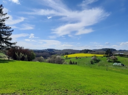 Gerumiges Einfamilienhaus mit (Ferien-)Wohnung, ruhige Lage am Ortsrand (Vulkaneifel)