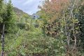 Gro�z�giges Einfamilienhaus mit viel Potenzial und Ausbaureserve in M�den