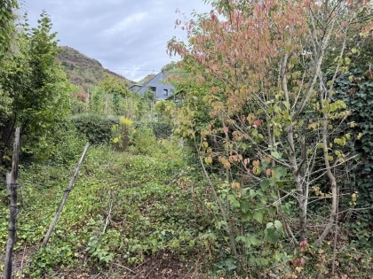 Gro�z�giges Einfamilienhaus mit viel Potenzial und Ausbaureserve in M�den