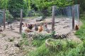 Gro�z�giges Wohnhaus mit Einliegerwohnung, Wintergarten und vielseitigen Nutzungsm�glichkeiten