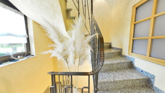 Gro�z�giges Zweifamilienwohnhaus in Randlage der Gemeinde Anschau mit fast schier endlosen M�glichkeiten