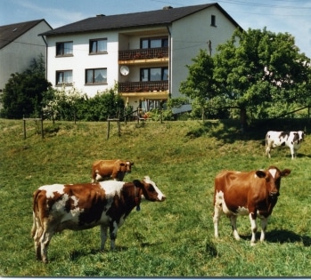Haus am Sammetbach