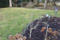 Hier wartet ihr neues Zuhause! Einfamilienwohnhaus in zentraler und doch ruhiger Lage der Stadt Mendig
