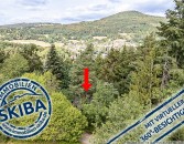 Idyllische Alleinlage: Wochenendhaus inmitten der Natur oberhalb von Antweiler/Ahr