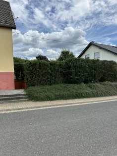 Im Jahre 2007 saniertes ehem. Bauernhaus mit ehem Scheune und traumhaften Gartengrundstck