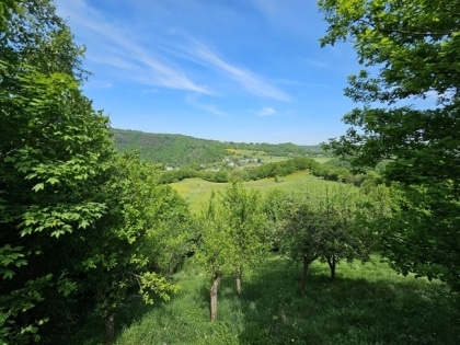 Lage Lage Lage, Einfamilienhaus mit traumhaftem Weitblick