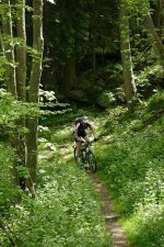 MTB-Guide-Eifel