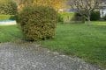 Mehrfamilienwohnhaus in Pnderich an der Mosel mit 5 Wohneinheiten und einer Wohnflche von ca. 430 m