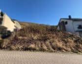 Moselblick inklusive - Attraktives Baugrundst�ck in Burgen