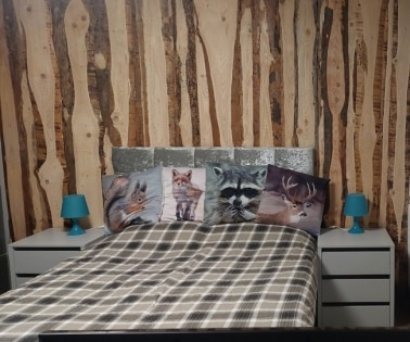 Multifunktionales Anwesen mit insgesamt 4 (Ferien-)Wohnungen, ideal als Investitionsobjekt